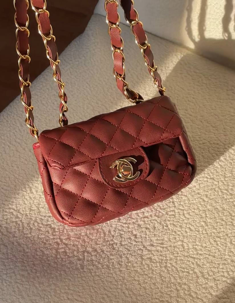 Sina Burgundy Bag